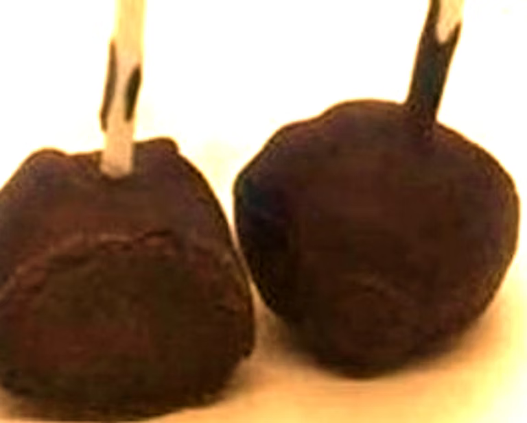 Gourmet  Premium Flavored Cake Pop Selection — 18+ Flavors Available (Alphabetical List)